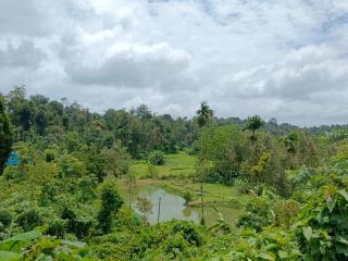 Angel home stay - 5