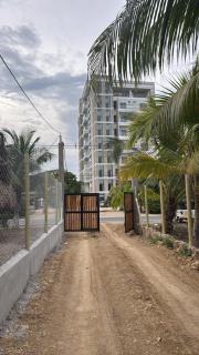 Playa y selva - 1