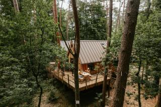 Unique treehouses with hot tub by Bed en Boshuisjes - 0