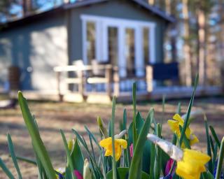 Gustava Parken - 4 persons cottage - 2