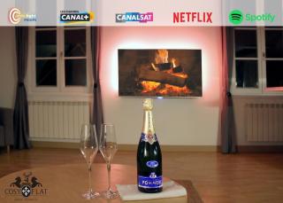 Duplex COSY FLAT Centre Senlis - 0
