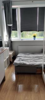 Cozy apartment with free parking! - 2