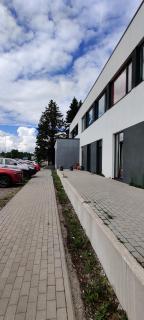 Cozy apartment with free parking! - 1
