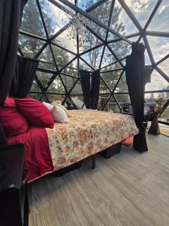 Oceanic geodome - 8