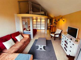 Appartement T2 loft 6-8 pers, pied des pistes de la station Chaillol 1600, balcon sud - 2