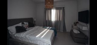 Swan lake, 3 bedrooms, Roof - 6