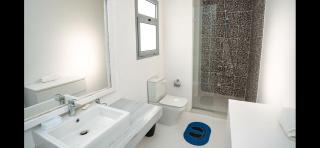 Swan lake, 3 bedrooms, Roof - 5