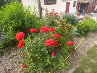 Chez Annick - 8