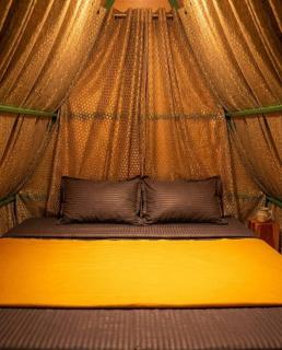 Echo Haven Glamping Tent Munnar - 4
