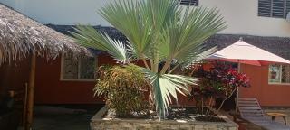 Appartement familial le cadran solaire - 0