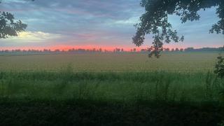De Rust - 4