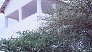 Kisiwa House - 3