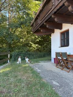 Ferienwohnung WAUzenberg mit Pool und Sauna - 1