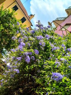Perla Nera Guesthouse - 6