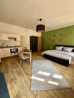 NeißeQuartier - Modernes Apartment in der historischen Altstadt, direkt an der Neiße - 8