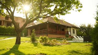 Vila Tedi - 3