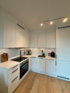 Modern Vervet Apartment - 1