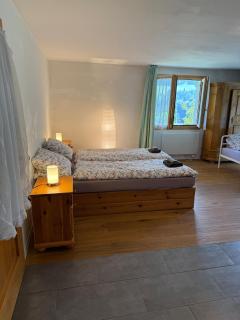 Cozy apartment in Alpendorf, Interlaken region - 5