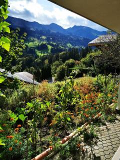 Cozy apartment in Alpendorf, Interlaken region - 1