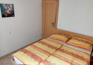 Apartmaji Slavnik - 4