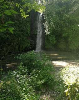 Tuscia house - 1