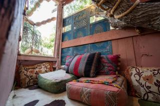 Adam's Tree House - 5