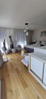 Zentrale Wohnung Leipzig mit 2 TG-Stellplätze bis 5 Gäste - 1