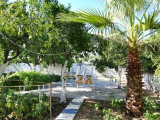 Bodrum Blu Hotel - 1