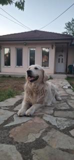 Avala apartman - 4