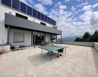 Large apartment with terrace - Gmunden district - 2