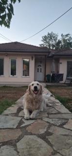 Avala apartman - 3