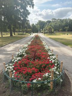 Elegant Stay - Mowbray Park - 7