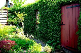Vakantiewoning Aan de Molenbeek - 8