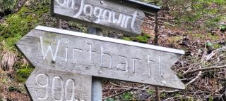 Waldmelodie Hütte - 9