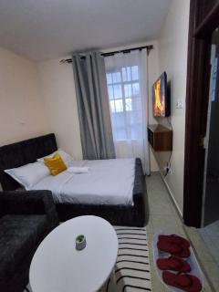 Machakos Sleek Studios - 6