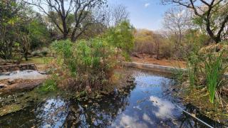 Ukuthula Guest house - 7