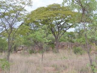 Ukuthula Guest house - 2