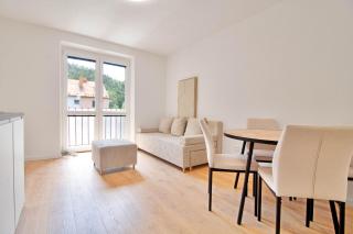 Uhlisko apartment - 0