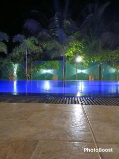 Yala Golden Wild - 9