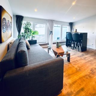 Cozy 1BR Apt & LR with Terrace Near Museum Gugging - 6