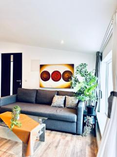 Cozy 1BR Apt & LR with Terrace Near Museum Gugging - 8