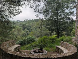 Cabañas de piedra suspendidas en el bosque - 1