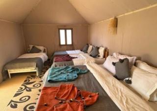 Desert Islan luxury camp - 2