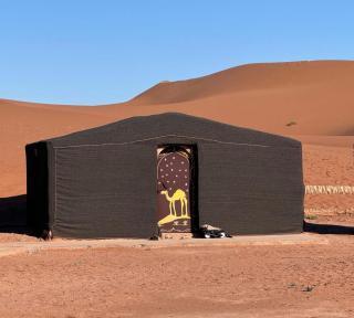 Sahara Golden Camp - 2