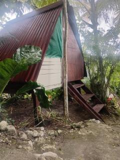 Las casitas en el jardin de doña zaudi - 3