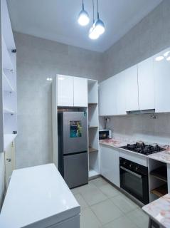 Premium 2BR 2 and half bath Luxury Apartment - 7