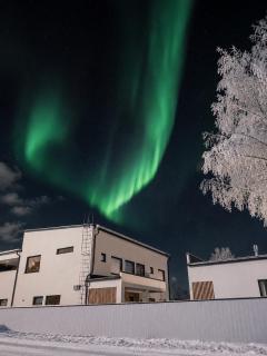 Lapland Arctic Villa - 9