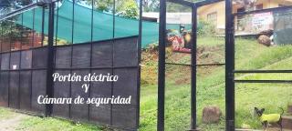 La casita de Nana - 8