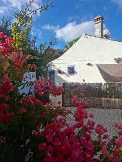 Casa do Brejão campo e praia - 0