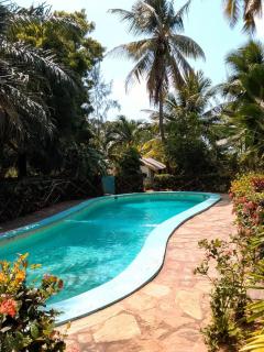 Serene Pool Villa - 9